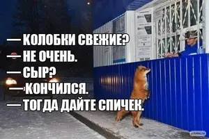 be6c9b86-0f5.webp