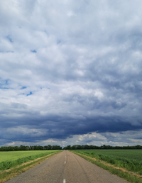 091829_Gallery.webp