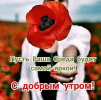 03C876C9-856E-43A7-90B0-BE552AB8A6D8.webp