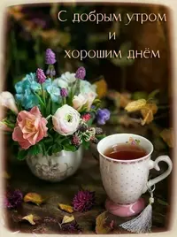 1074cc18e6748b06d1a036aab2c6a6a1.webp
