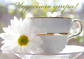 image020-53.webp