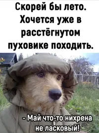 Screenshot_20220526-071442_Instagram.webp