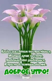 be2e0.webp