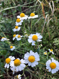 195134_Gallery.webp