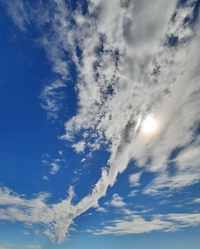 200602_Gallery.webp