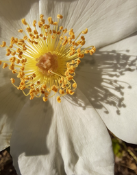 01354_Gallery.webp