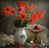 IMG_20220527_131611.webp