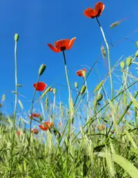 074533_Gallery.webp