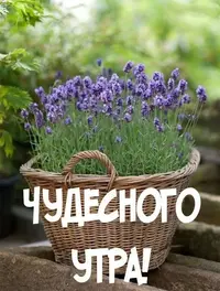 12.10.45-2.webp