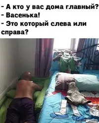 ef7c292c-.webp
