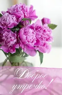 IMG_20220528_090944_789.webp