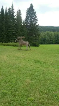 1653722191.webp