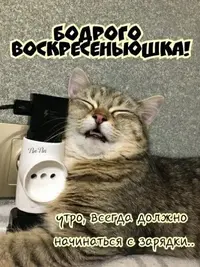 673b3b7c5a29edfeb2dd0f40bf846bbe.webp