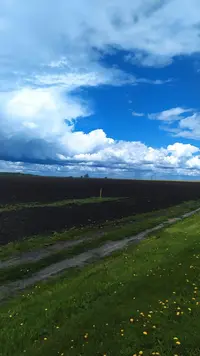 IMG_20220529_111415.webp