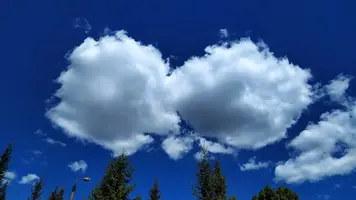 IMG_20220530_111020.webp