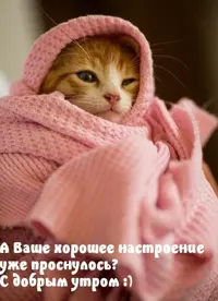 98140978-5134-41BA-97DE-85B2C1BFA833.webp