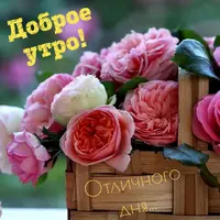 0ae76.webp