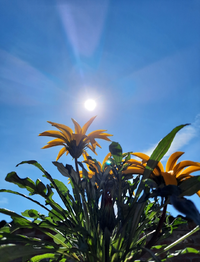92000_Gallery.webp