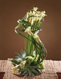 IMG_20220528_062532.webp