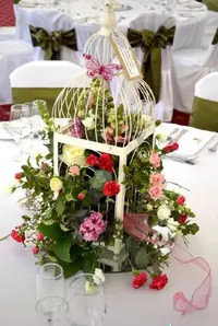 IMG_20220528_062749.webp
