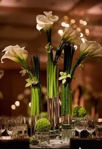 IMG_20220528_061633.webp