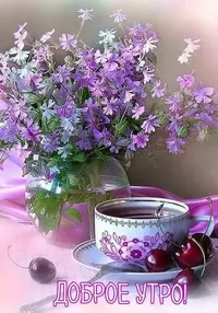 57ad91234e.webp