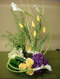 IMG_20220528_062027.webp