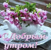 43b.webp