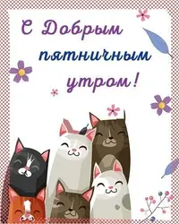 df9169793b11f1f88efc496acee09c93.webp