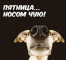 09A786CE-7C51-40B2-BAE1-503863536B9C.webp