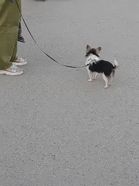 20220603_203113.webp