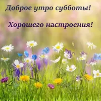 s1200.webp