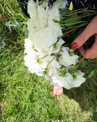54207_Gallery.webp
