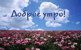 -135.webp