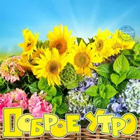IMG-20220526-WA0006.webp