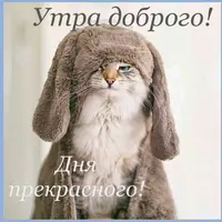 5bd972c59de100747163cd192fb7286d.webp