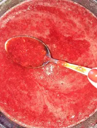 2022060.webp