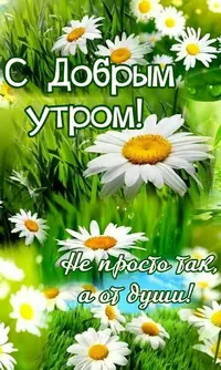 f2ff2aa764b5c4daa2c61864238f5d4b.webp