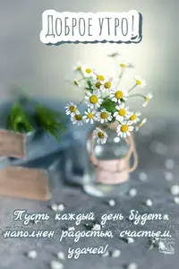 0de602e0a8a15ab07fc8fdfcc1f51b12.webp