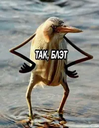 525e4891-.webp