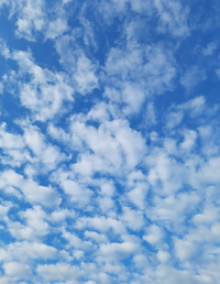84118_Gallery.webp