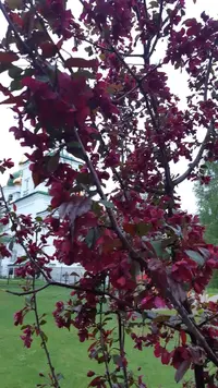 IMG_20220607_185720_100.webp