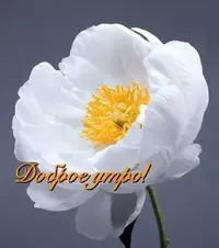 5666e17ba3bab2e499d5f81160b3639f.webp