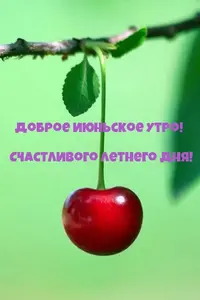IMG-20220608-WA0000.webp