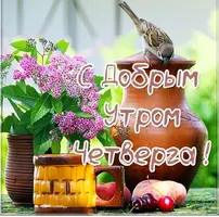 IMG-20220609-WA0008.webp