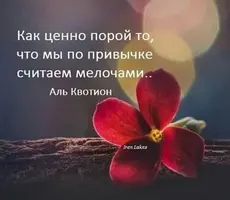 28e7139a394302f72238710144510ea5.webp
