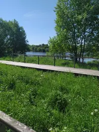 IMG_20220609_102720.webp