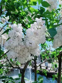 IMG20220609140613_01.webp