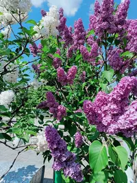 IMG20220609140658.webp