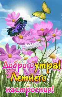 IMG-20220609-WA0006.webp